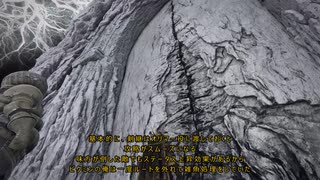 夜渡り床ペロ10日目