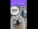 “もふもふ天国”が池袋にOPEN！□