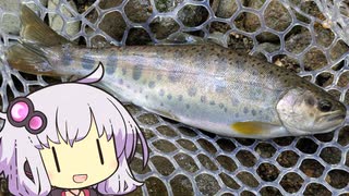 【１分釣り動画投稿祭】初めて行く川でお魚釣り