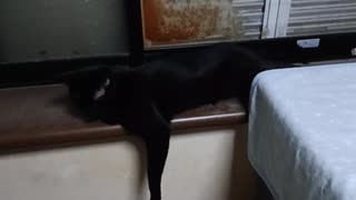 最近のお気に入りの場所こま