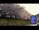 旧校舎の裏に立つ桜の木の呪い⑤【学校であった怖い話S】#55
