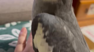 なぎとあそぼ