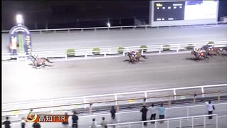 2025年8月3日高知競馬11R ペリドット特別(A-1組) メイショウウズマサ