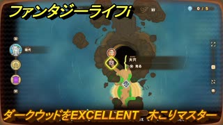 ファンタジーライフｉ　ダークウッドをEXCELLENT　木こりマスターの試練　＃７８７　【グルグルの竜と時をぬすむ少女】