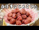 自家製梅干しの晩酌で暑気払いする動画