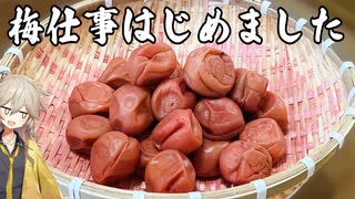自家製梅干しの晩酌で暑気払いする動画