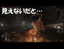 #188【ELDEN RING】このボス全く見えないので霊感の強い相棒に助けてもらいました！【エルデンリング初見実況】