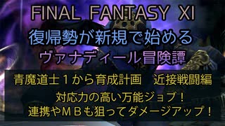 【FF11】青魔道士１から育成計画　近接戦闘編　対応力の高い万能ジョブ！連携やＭＢも狙ってダメージアップ！