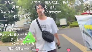 【ミュートさん】セミを食べる会（1/2）【2025/8/3】