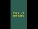 花になって｜緑黄色社会（↑3.27dB）天鵞絨 びろうど #2f5d50 ＆ 緑黄色 りょくおうしょく #dccb18