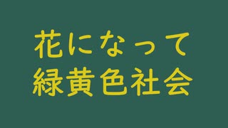 花になって｜緑黄色社会（↑3.27dB）天鵞絨 びろうど #2f5d50 ＆ 緑黄色 りょくおうしょく #dccb18