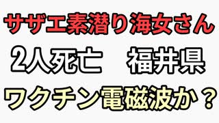ワクチンはじまってからベテランの海女さんが次々と溺死