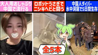 8月5日 世界のおもしろB級ニュース【全5本】【ずんだもん】