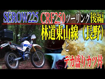 【ななまる日記】セロー225とCRF250オフ車２台で行く東山林道ツーリング後編佐久のデカ盛りグルメを喰らう