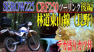 【ななまる日記】セロー225とCRF250オフ車２台で行く東山林道ツーリング後編佐久のデカ盛りグルメを喰らう