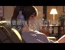 観葉植物と音楽だけのリラックスタイム
