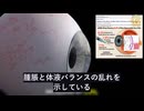 最近の研究で、ワクチン接種による再生不可能な角膜内皮細胞の減少が明らかに