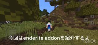 【アドオン紹介】マイクラ エンダライト装備は最強？