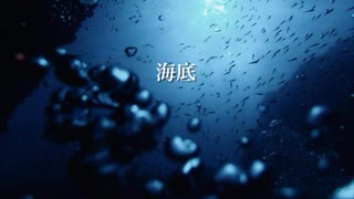 【知声】海底 - いずこ