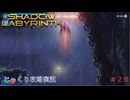 【SHADOW LABYRINTH】第20回　２つの高エネルギー体を確保しろ　じっくり攻略実況　シャドウラビリンス