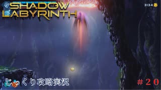【SHADOW LABYRINTH】第20回　２つの高エネルギー体を確保しろ　じっくり攻略実況　シャドウラビリンス