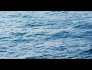 close-up view of water