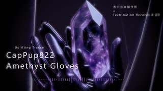 Amethyst Gloves / CapPup822