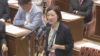 250804 れいわ新選組 大石あきこ 衆議院 予算委員会 国会質問！