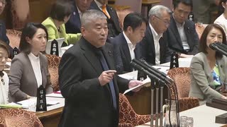 250805 れいわ新選組 伊勢崎賢治 参議院 予算委員会 国会質問！