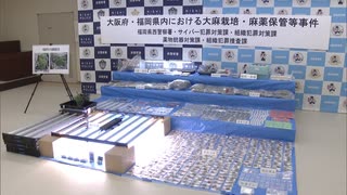 営利目的で大麻草を栽培か　密売グループの男女７人逮捕