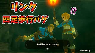 リンクが四足歩行になるバグ技！？(ver1.0.0)【ティアキン TotK】裏技 バグ 検証 ゆっくり実況 glitch