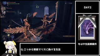 [ナイトレイン] 常夜マリスに初見野良マルチで挑んだものの末路