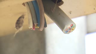 「俺のところはやられとる、お前のところはどうか」そして気づいた　桃のビニールハウスで銅線窃盗　被害相次ぐ