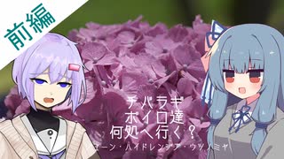 チバラギボイロ達何処へ行く？～ジューン・ハイドレンジア・ウツノミヤ～