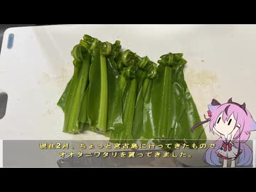 珍食材が食べたい！#223 オオタニワタリ