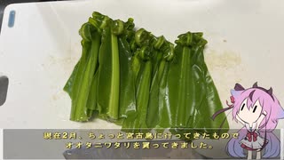 珍食材が食べたい！#223 オオタニワタリ