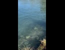 遊漁船船長の休日　鹿島槍編
