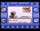 【ポケットモンスター青】殿堂入りを目指して Part30【チャンピオンロード】