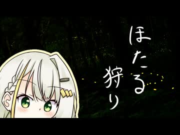 【ニコニコ虫祭り】 おさんぽつのせ ～ほたる狩り～