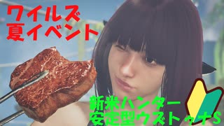 モンハンワイルズ-夏イベントを楽しむだけ。