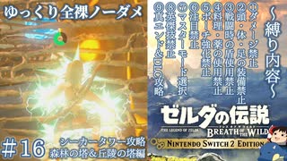 『9種の縛りプレイ＃16』ノーダメージでシーカータワー攻略ってこんなムズかったっけと慄く全裸リンク【ゼルダの伝説ブレスオブザワイルドswitch２エディション/ゆっくり実況】