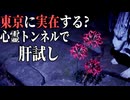東京に実在する?心霊トンネルで肝試しをしてきました 【ホラーゲーム実況】不帰上