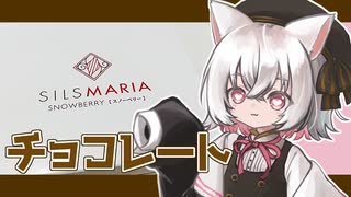 小夜はお姉さんなので２月を振り返りますよ【VOICEVOX4周年文化祭】
