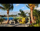 Beltran's Nursery & Landscape in Punta Gorda