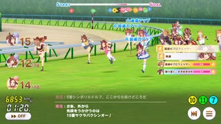 【ウマ娘ルムマ動画】第５回 ポニーテール杯 '25（トラッキング入り）