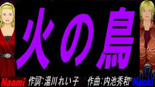 【Naomi＆Naoki】火の鳥【カバー曲】