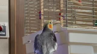 門番なぎ