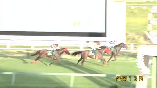 第26回オパールカップ プチプラージュ
