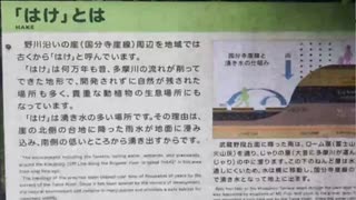 東京都小金井市：はけの道で国分寺崖線の坂を行き来してみた　その１(2025.07.18)
