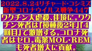 【2022年08月24日 ：『 リチャード・コシミズ「 Internet Lecture 」｟ 新型コロナウイルス戦争編 ｠｟ LIVE ｠｟ 改良版 ｠』】
